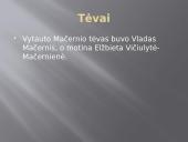 Vytautas Mačernis - skaidrės 4 puslapis