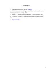 Pagrindinės šiuolaikinės ekonomikos teorijos 13 puslapis