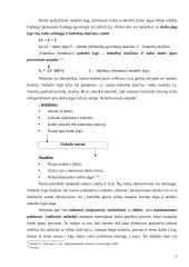 Pagrindinės šiuolaikinės ekonomikos teorijos 5 puslapis