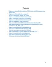 Saulės ir žemės vaizdiniai lietuvių literatūroje bei mitologijoje 8 puslapis