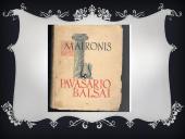 Saulės ir žemės vaizdiniai lietuvių literatūroje bei mitologijoje - skaidrės 16 puslapis