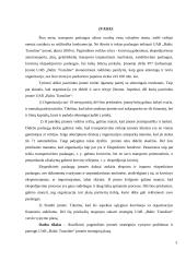 Įmonės analizė. Valdymo sprendimų metodų taikymas UAB „Baltic transline“ įmonėje 2 puslapis