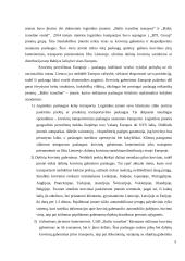 Įmonės analizė. Valdymo sprendimų metodų taikymas UAB „Baltic transline“ įmonėje 4 puslapis