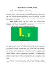 Įmonės analizė. Valdymo sprendimų metodų taikymas UAB „Baltic transline“ įmonėje 6 puslapis