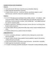 Konspektas. Pirmasis pasaulinis karas 4 puslapis