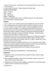 Konspektas. Pirmasis pasaulinis karas 6 puslapis