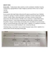 Konspektas. Pirmasis pasaulinis karas 7 puslapis