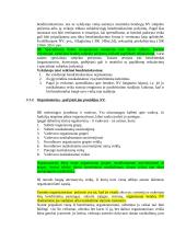 Bendrininkavimas padarant nusikalstamą veiką 13 puslapis