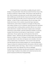 Mano bendraamžių šneka 2 puslapis