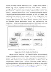 Paslaugų savikainos kalkuliavimas UAB „Pakuotė“ 12 puslapis