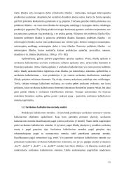 Paslaugų savikainos kalkuliavimas UAB „Pakuotė“ 13 puslapis
