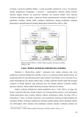 Paslaugų savikainos kalkuliavimas UAB „Pakuotė“ 16 puslapis