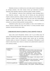 Kvepalų ir namų kvapų gamintoja ir prekiautoja UAB „Kvapų rojus“ 6 puslapis