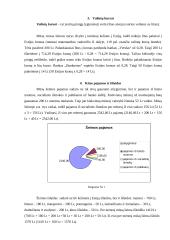 Mano šeimos biudžetas ir atlyginimų bei išlaidų skaičiavimai 3 puslapis