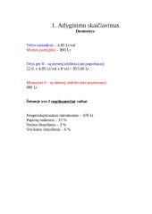 Projektas. Mano šeimos biudžetas 2 puslapis