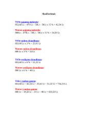 Projektas. Mano šeimos biudžetas 3 puslapis