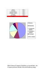 Projektas. Mano šeimos biudžetas 6 puslapis
