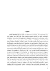 Paauglių globa 2 puslapis