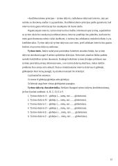 Paauglių globa 12 puslapis