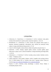 Paauglių globa 13 puslapis