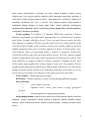 Paauglių globa 3 puslapis