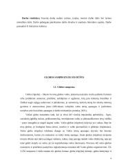 Paauglių globa 4 puslapis