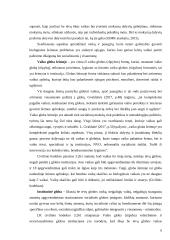 Paauglių globa 6 puslapis