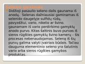 VI A grupės nemetalų gavimas 5 puslapis