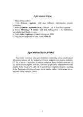 Matematikos projektas - mano šeimos biudžetas 2 puslapis