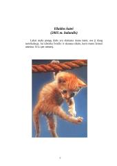 Matematikos projektas - mano šeimos biudžetas 5 puslapis