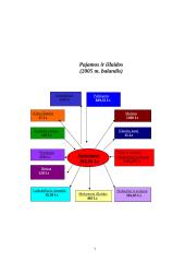 Matematikos projektas - mano šeimos biudžetas 7 puslapis