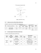 Statybos technologijos ir organizavimo inžinerinio projekto užduotis 13 puslapis