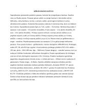 Statybos technologijos ir organizavimo inžinerinio projekto užduotis 3 puslapis