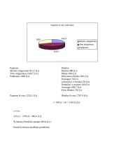 Vieno mėnesio Petraičių šeimos šeimos biudžetas 4 puslapis