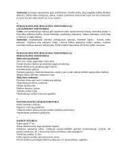 Pedagoginis - psichologinis vaiko vertinimas 2 puslapis
