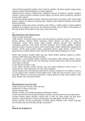 Pedagoginis - psichologinis vaiko vertinimas 4 puslapis