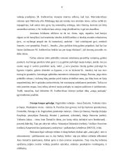 Marius Ivaškevičius "Žali" 3 puslapis