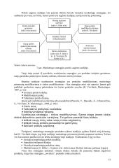 Marketingo inovacijos ir požiūris į modifikavimą 13 puslapis