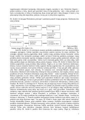 Marketingo inovacijos ir požiūris į modifikavimą 7 puslapis