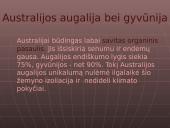 Australija. Skaidrės 13 puslapis