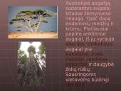 Australija. Skaidrės 14 puslapis