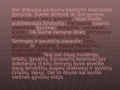 Australija. Skaidrės 15 puslapis