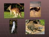 Australija. Skaidrės 16 puslapis