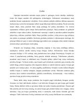 Kvepalai „Tau“ pagal kiekvieną vartotojų poreikį. Naujo produkto kūrimas 2 puslapis