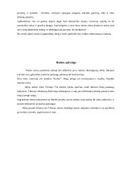 Marketingo planas: individuali statybos įmonė "Ketlos" 4 puslapis