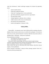 Marketingo planas: individuali statybos įmonė "Ketlos" 6 puslapis