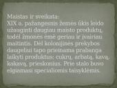 Kasdieninis žmonių gyvenimas viduramžiuose 7 puslapis