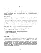 Prekės ženklo „Uoga uoga“ marketingo strategijos analizė (referatas) 2 puslapis