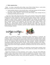 Prekės ženklo „Uoga uoga“ marketingo strategijos analizė (referatas) 3 puslapis