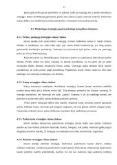 Marketingo strategijos parengimas: UAB "Panevėžio eglė" 11 puslapis